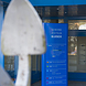 Bluebox Aarberg